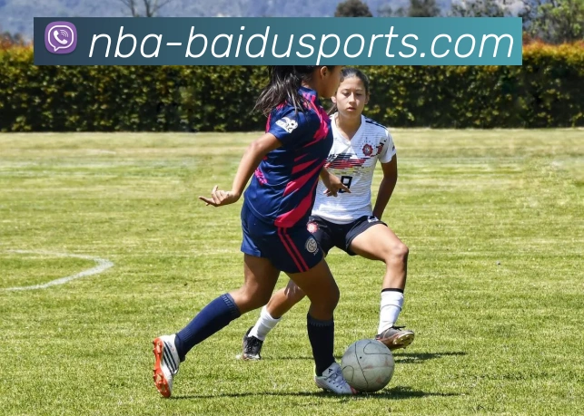 百度体育品牌故事